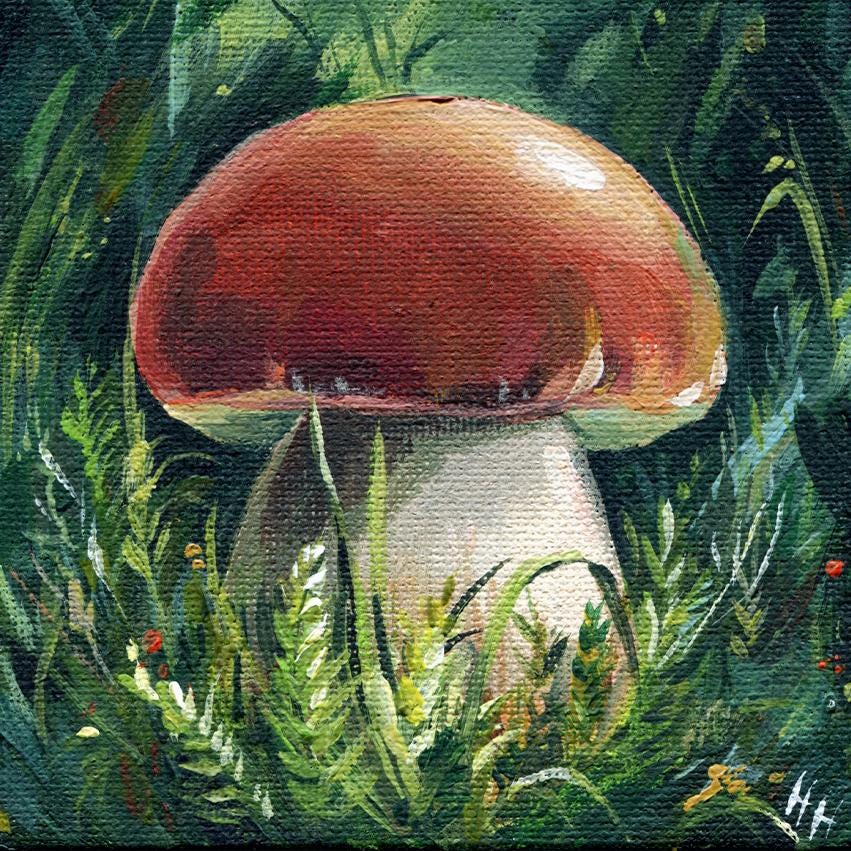 Collection of original mushroom paintings by Hanna Art Decor displaying various wild fungi species including fly agaric and forest mushrooms, hand-painted on mini canvases with detailed botanical accuracy
