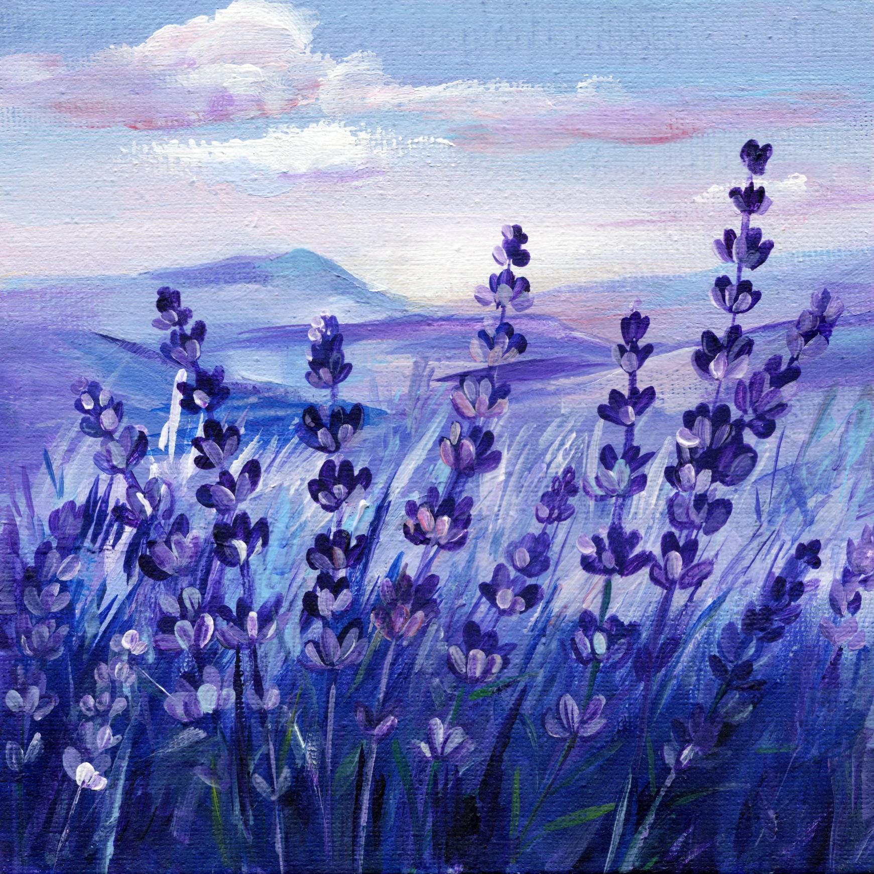 lavender plant art Lavender field painting. Provence landscape. Original Art on Canvas. P – Hanna Art